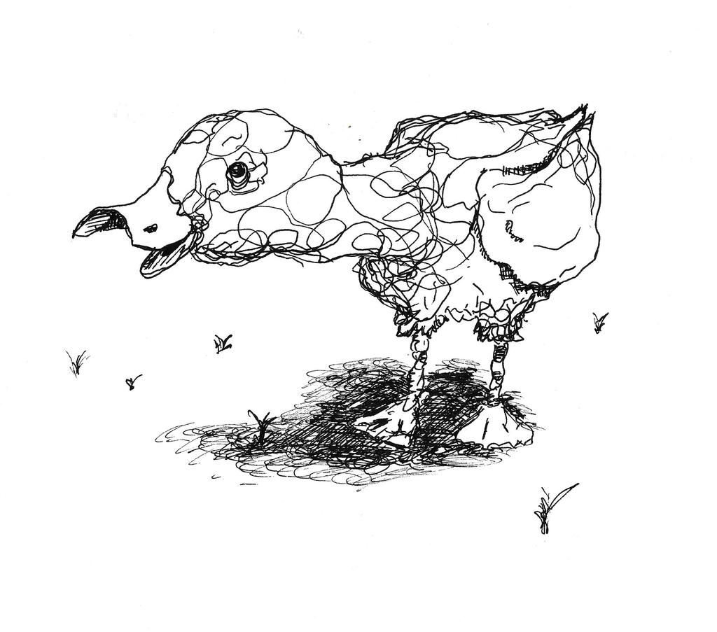 The Sketchbook Series