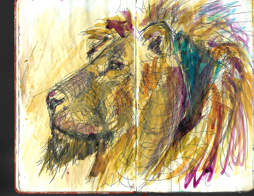 The Sketchbook Series