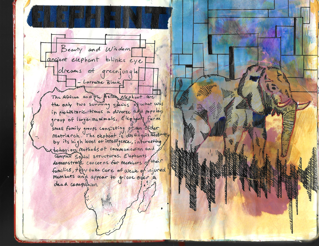 The Sketchbook Series