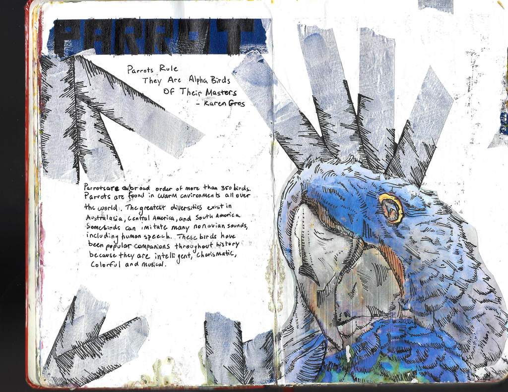 The Sketchbook Series