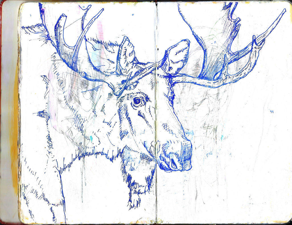 The Sketchbook Series