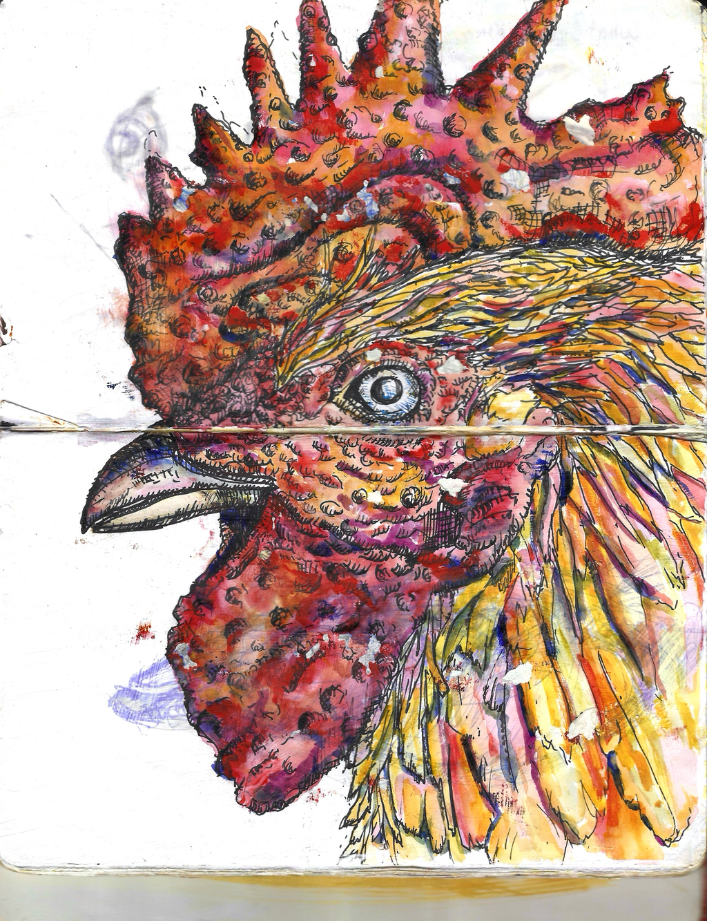 The Sketchbook Series